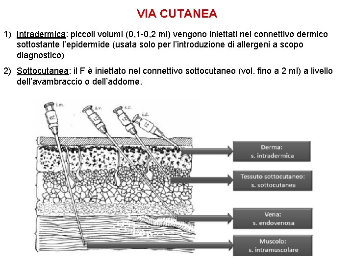 VIA CUTANEA 1) Intradermica: piccoli volumi (0, 1 -0, 2 ml) vengono iniettati nel