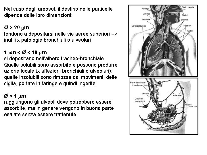 Nel caso degli areosol, il destino delle particelle dipende dalle loro dimensioni: Ø >
