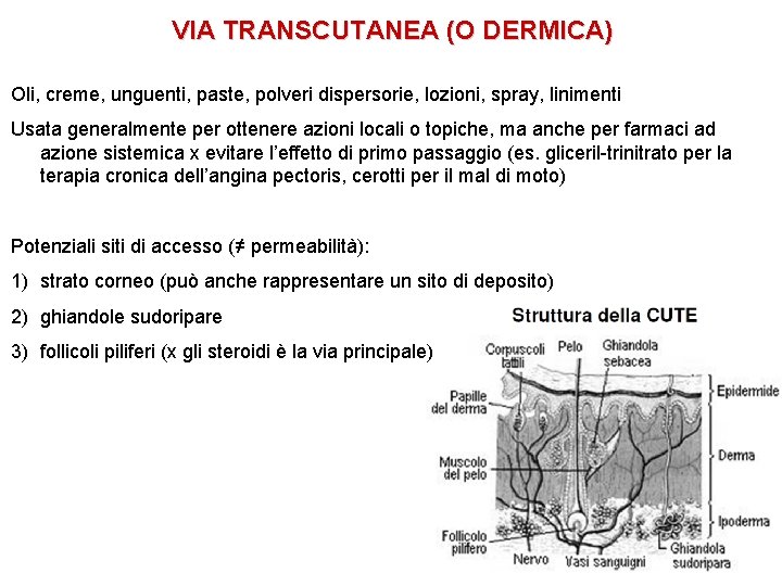 VIA TRANSCUTANEA (O DERMICA) Oli, creme, unguenti, paste, polveri dispersorie, lozioni, spray, linimenti Usata