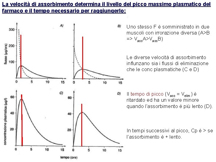 La velocità di assorbimento determina il livello del picco massimo plasmatico del farmaco e