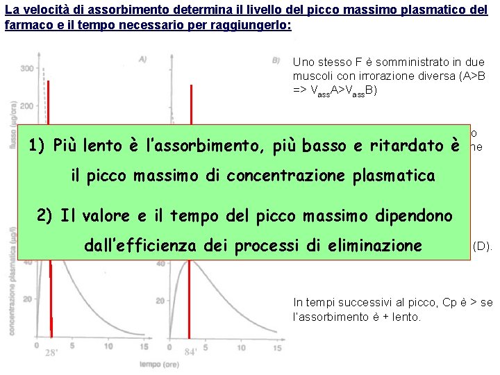 La velocità di assorbimento determina il livello del picco massimo plasmatico del farmaco e