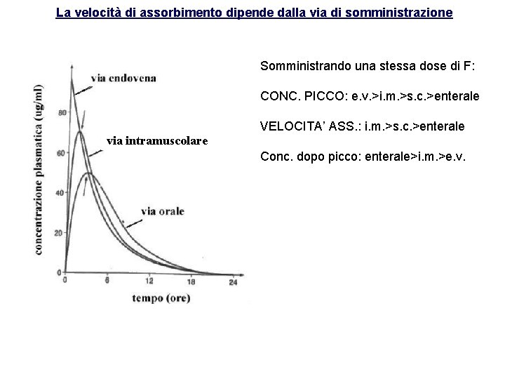 La velocità di assorbimento dipende dalla via di somministrazione Somministrando una stessa dose di