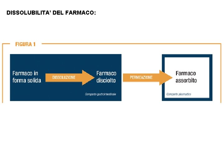 DISSOLUBILITA’ DEL FARMACO: 