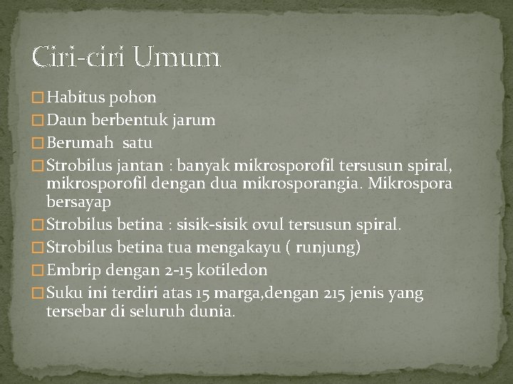 Ciri-ciri Umum � Habitus pohon � Daun berbentuk jarum � Berumah satu � Strobilus