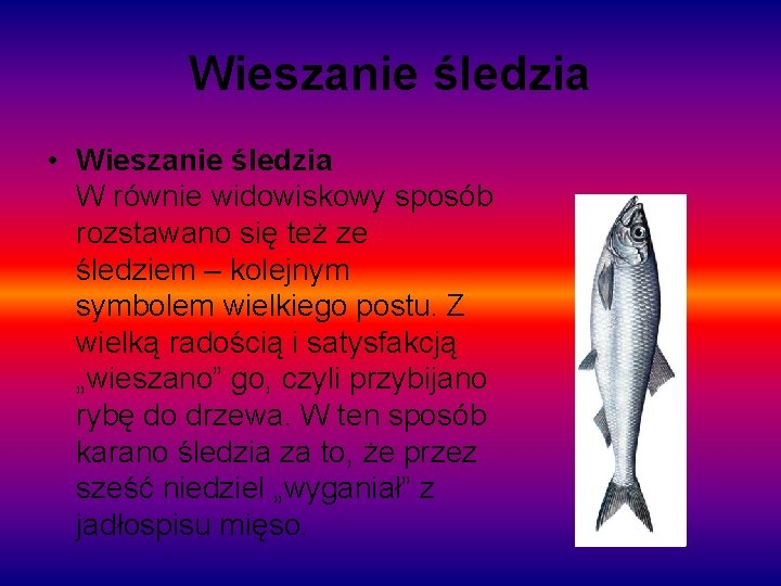 Wieszanie śledzia • Wieszanie śledzia W równie widowiskowy sposób rozstawano się też ze śledziem