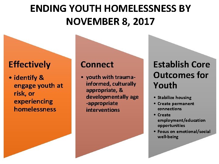 ENDING YOUTH HOMELESSNESS BY NOVEMBER 8, 2017 Effectively Connect • identify & engage youth