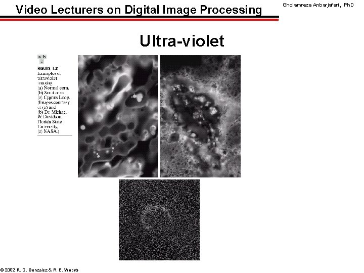 Video Lecturers on Digital Image Processing Ultra-violet © 2002 R. C. Gonzalez & R.
