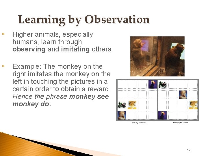 Learning by Observation Higher animals, especially humans, learn through observing and imitating others. Example: