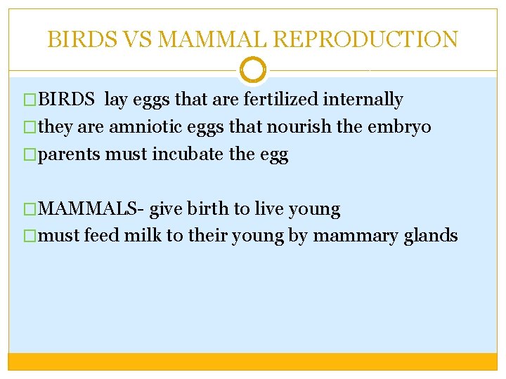 BIRDS VS MAMMAL REPRODUCTION �BIRDS lay eggs that are fertilized internally �they are amniotic