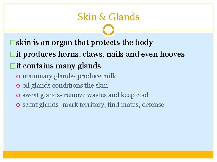 Skin & Glands �skin is an organ that protects the body �it produces horns,