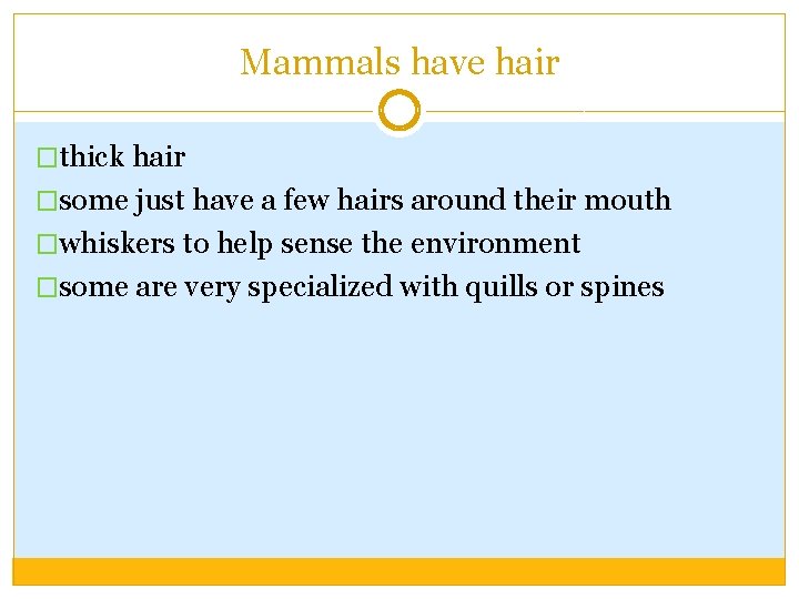 Mammals have hair �thick hair �some just have a few hairs around their mouth