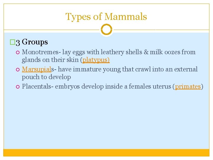 Types of Mammals � 3 Groups Monotremes- lay eggs with leathery shells & milk