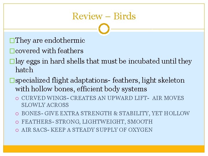 Review – Birds �They are endothermic �covered with feathers �lay eggs in hard shells