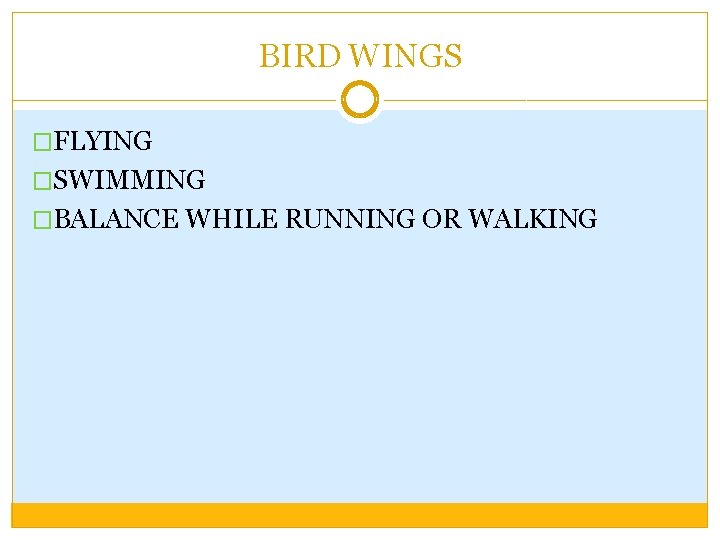 BIRD WINGS �FLYING �SWIMMING �BALANCE WHILE RUNNING OR WALKING 