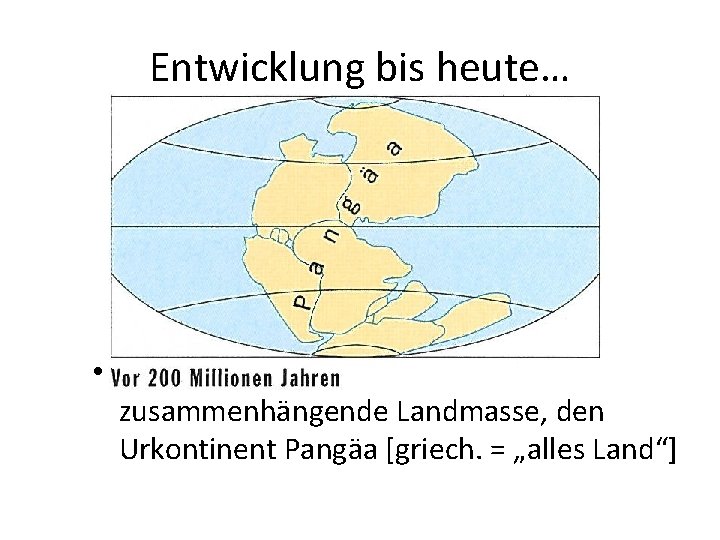 Entwicklung bis heute… • Sämtliche Kontinente bilden eine zusammenhängende Landmasse, den Urkontinent Pangäa [griech.