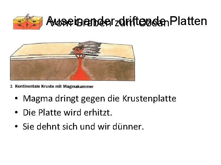 Auseinander driftende Platten Vom Graben zum Ozean • Magma dringt gegen die Krustenplatte •