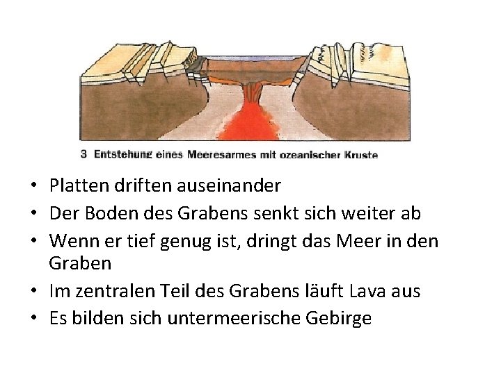  • Platten driften auseinander • Der Boden des Grabens senkt sich weiter ab