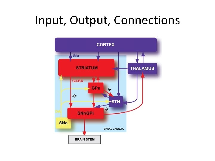 Input, Output, Connections 