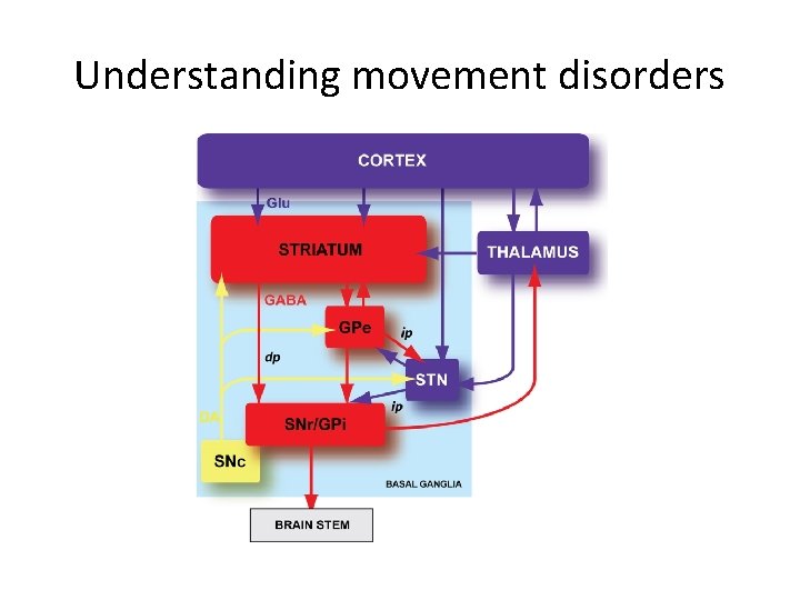 Understanding movement disorders 
