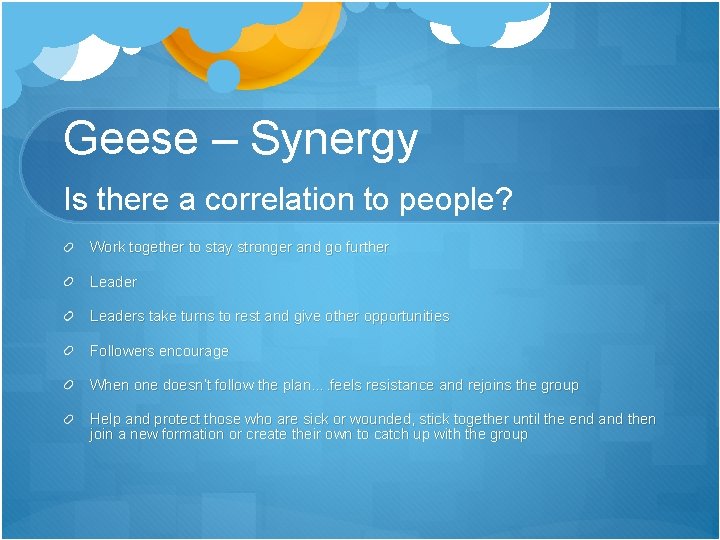 Geese – Synergy Is there a correlation to people? Work together to stay stronger