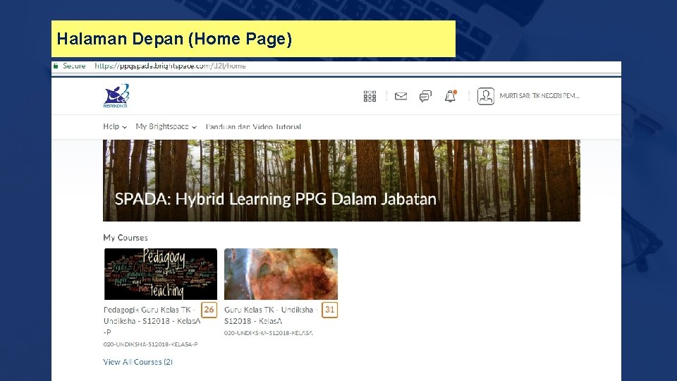 Halaman Depan (Home Page) 