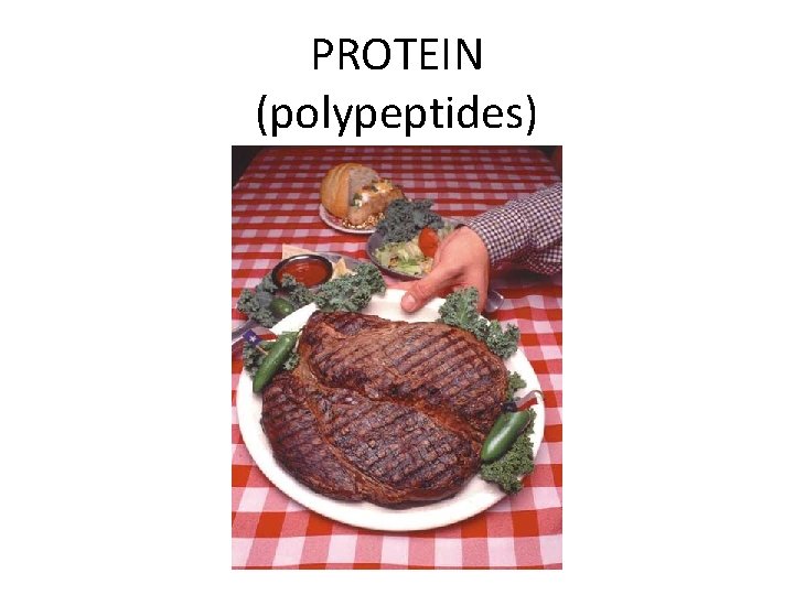 PROTEIN (polypeptides) 