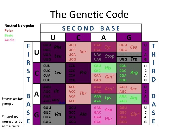 The Genetic Code Neutral Non-polar Polar Basic Acidic F I U R S C