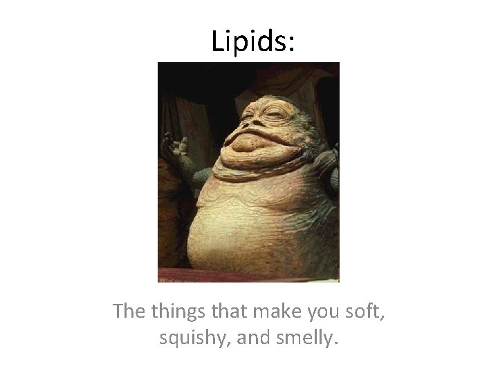 Lipids: The things that make you soft, squishy, and smelly. 