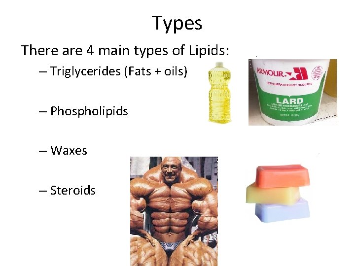 Types There are 4 main types of Lipids: – Triglycerides (Fats + oils) –