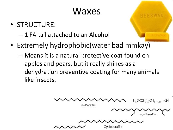 Waxes • STRUCTURE: – 1 FA tail attached to an Alcohol • Extremely hydrophobic(water