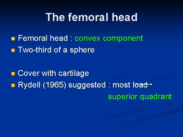 The femoral head Femoral head : convex component n Two-third of a sphere n