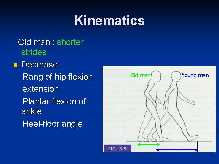 Kinematics Old man : shorter strides n Decrease: Rang of hip flexion, extension Plantar