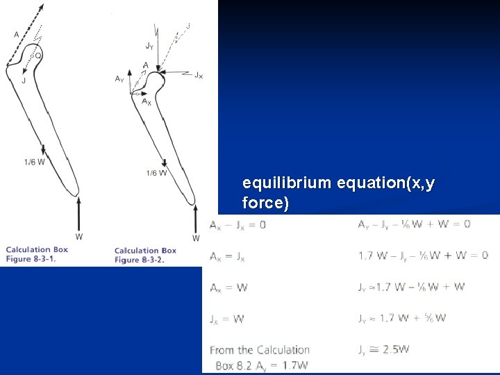 equilibrium equation(x, y force) 