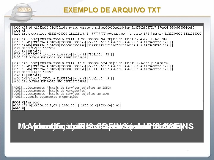 EXEMPLO DE ARQUIVO TXT Apuração do PIS COFINS (centralizada) Identificação e referência das filiais