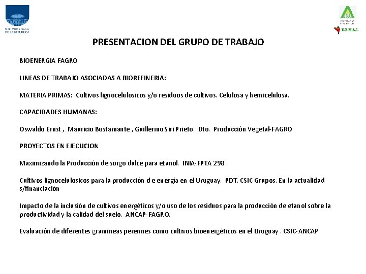 PRESENTACION DEL GRUPO DE TRABAJO BIOENERGIA FAGRO LINEAS DE TRABAJO ASOCIADAS A BIOREFINERIA: MATERIA