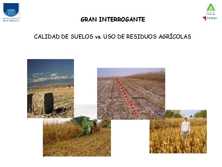 GRAN INTERROGANTE CALIDAD DE SUELOS vs. USO DE RESIDUOS AGRÍCOLAS 