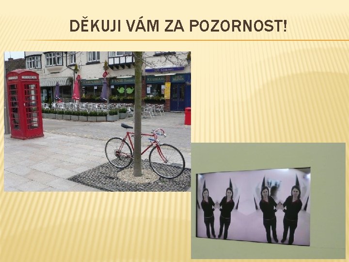 DĚKUJI VÁM ZA POZORNOST! 