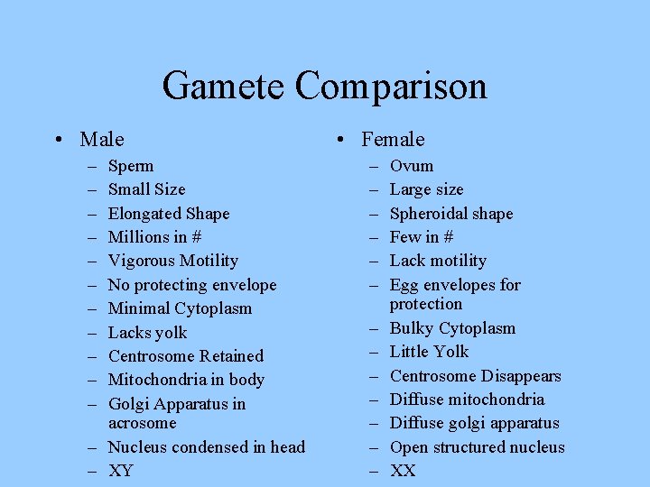 Gamete Comparison • Male – – – Sperm Small Size Elongated Shape Millions in