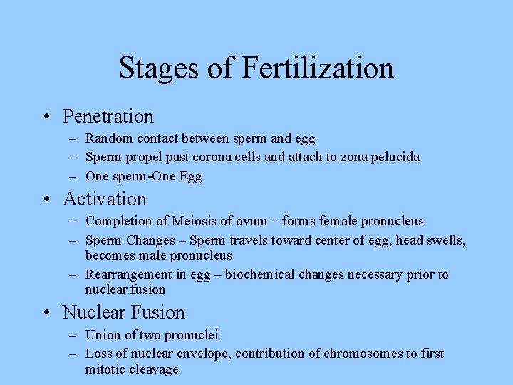 Stages of Fertilization • Penetration – Random contact between sperm and egg – Sperm