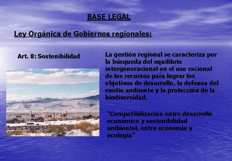 BASE LEGAL Ley Orgánica de Gobiernos regionales: Art. 8: Sostenibilidad La gestión regional se