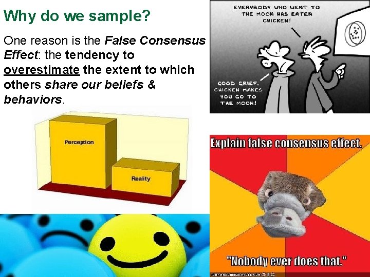 Why do we sample? One reason is the False Consensus Effect: the tendency to