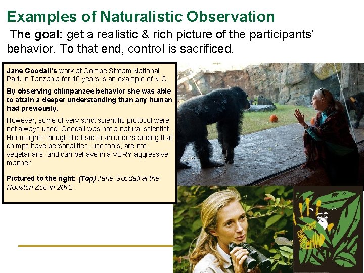 Examples of Naturalistic Observation The goal: get a realistic & rich picture of the