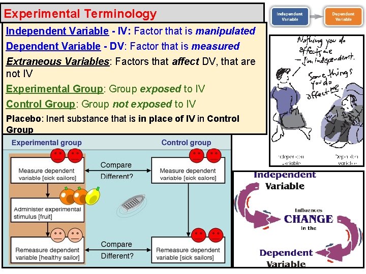 Experimental Terminology Independent Variable - IV: Factor that is manipulated Dependent Variable - DV: