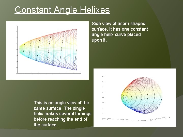 Constant Angle Helixes Side view of acorn shaped surface. It has one constant angle