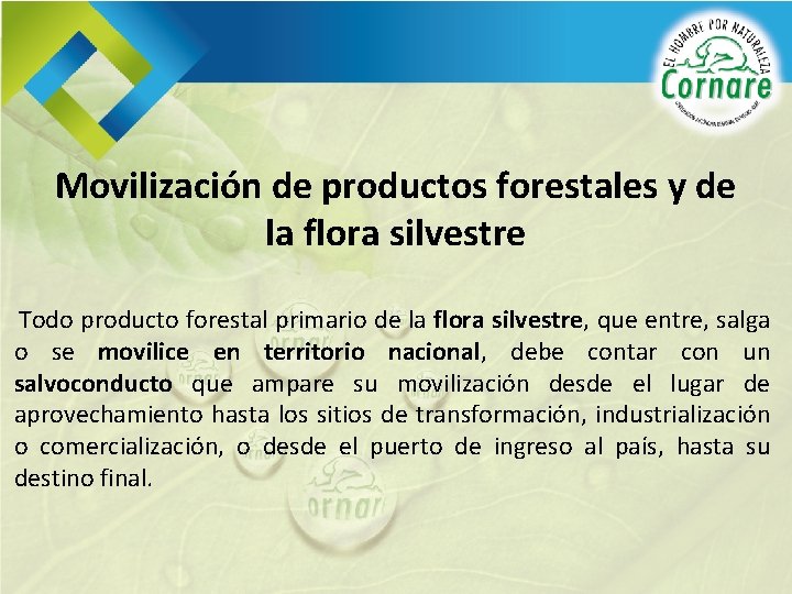 Movilización de productos forestales y de la flora silvestre Todo producto forestal primario de