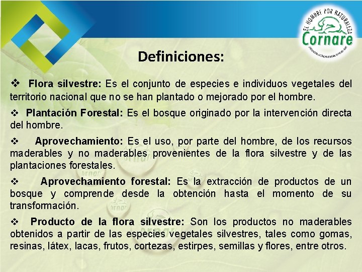 Definiciones: v Flora silvestre: Es el conjunto de especies e individuos vegetales del territorio