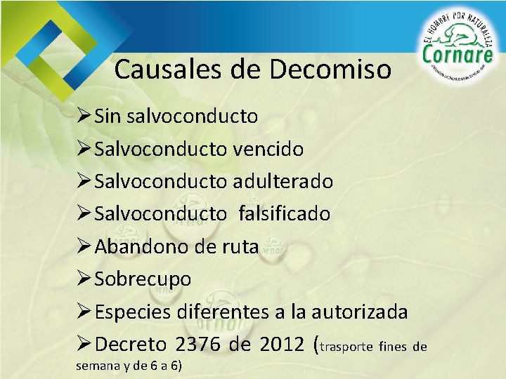 Causales de Decomiso ØSin salvoconducto ØSalvoconducto vencido ØSalvoconducto adulterado ØSalvoconducto falsificado ØAbandono de ruta