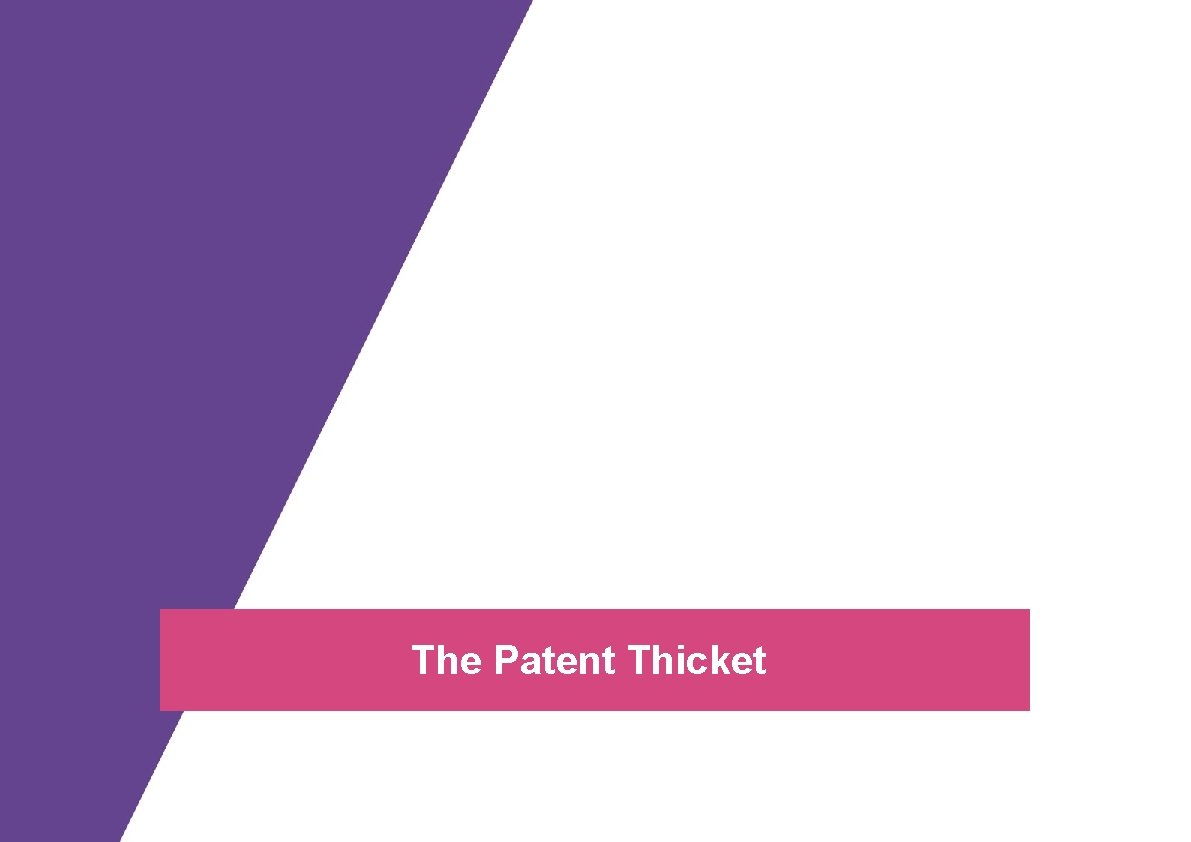 The Patent Thicket 