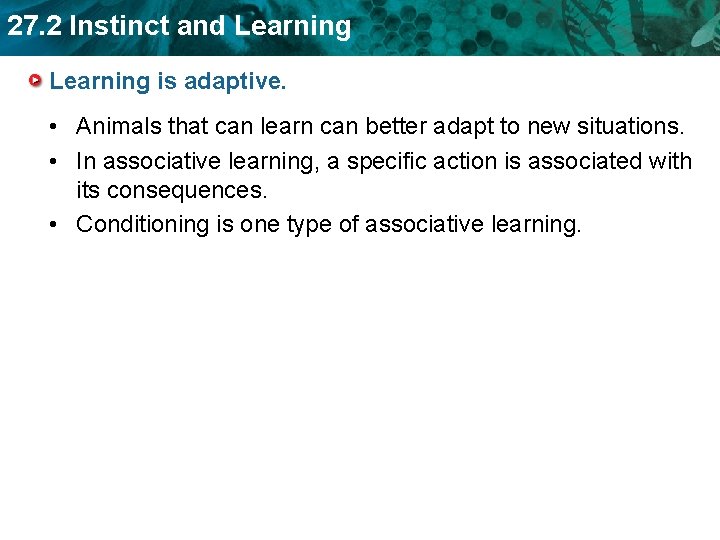 27. 2 Instinct and Learning is adaptive. • Animals that can learn can better