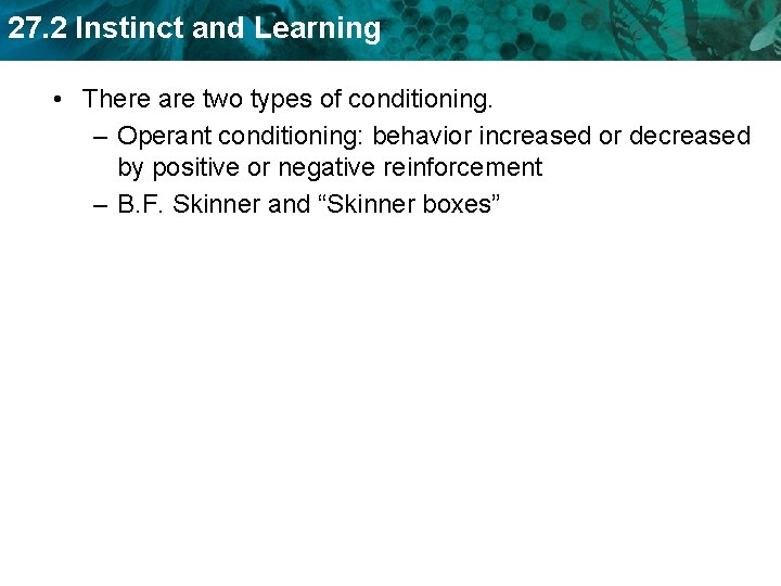 27. 2 Instinct and Learning • There are two types of conditioning. – Operant